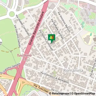 Via Ignazio Scimonelli, 152,00173Roma