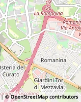 Viale Anicio Gallo, 196,00174Roma