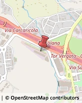 Viale Luigi Schiavonetti, 290,09134Roma