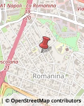 Via Raffaele Garofalo, 14,00100Roma