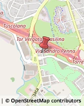 Via Giovanni Censori, 42,00133Roma