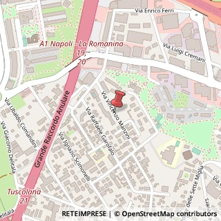 Mappa Via Vincenzo Manzini, 91, 00173 Roma, Roma (Lazio)