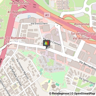Edilizia - Attrezzature,00173Roma