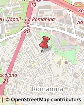 Via Vincenzo Manzini, 135,00173Roma