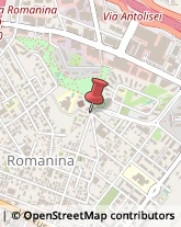 Via del Ponte delle Sette Miglia, 215,00173Roma