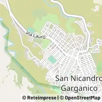 Hartă San Nicandro Garganico