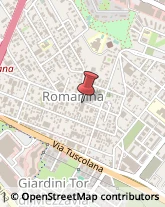 Via Salvatore Barzilai, 105,00173Roma