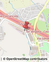 Viale Luigi Schiavonetti, 294,00173Roma