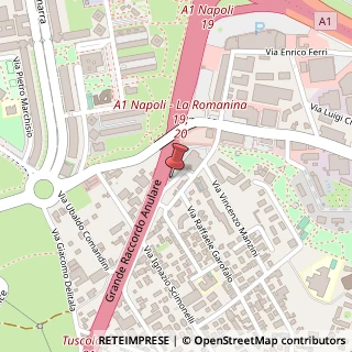 Mappa Via Alessandro Stoppato, 77, 00173 Roma, Roma (Lazio)