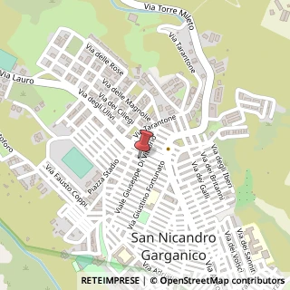 Mappa Via Eugenio Curiel, 13, 71015 San Nicandro Garganico, Foggia (Puglia)