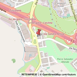 Mappa Via di Tor Vergata, 259, 00133 Roma, Roma (Lazio)