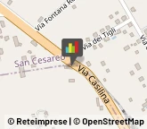 Osterie e Trattorie,00030Roma