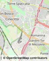 Ostetrici e Ginecologi - Medici Specialisti Roma,00173Roma