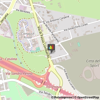 Articoli Sportivi - Dettaglio,00133Roma