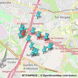 Mappa Via Emanuele Carnevale, 00173 Roma RM, Italia (0.877)