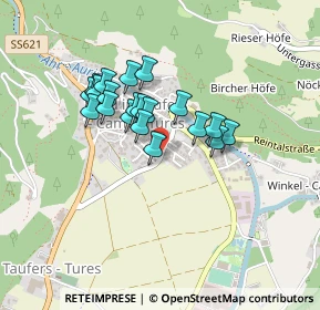 Mappa Via Wiesenhof, 39032 Campo Tures BZ, Italia (0.322)