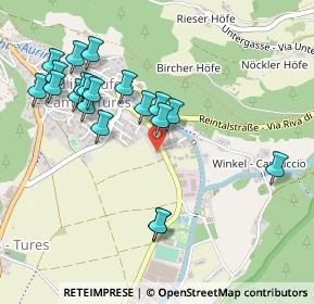 Mappa Via Daimer Dottor, 39032 Campo Tures BZ, Italia (0.5005)