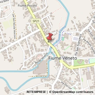 Mappa Vicolo Tagliamento,  1, 33080 Fiume Veneto, Pordenone (Friuli-Venezia Giulia)