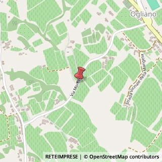 Mappa Via Monte Nero, 8, 31015 Conegliano, Treviso (Veneto)