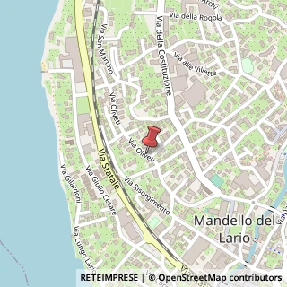 Mappa Via oliveti 30/n, 23826 Mandello del Lario, Lecco (Lombardia)