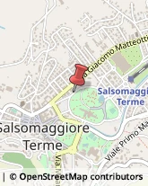 Parco Giuseppe Mazzini, 7,43039Salsomaggiore Terme