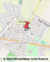 Viale Roma, 23,44039Tresigallo