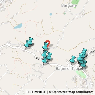 Mappa Strada Comunale Bargone, 43039 Salsomaggiore Terme PR, Italia (0.58095)