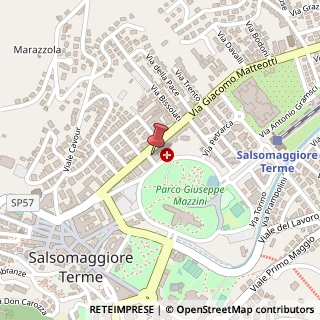 Mappa Viale Giacomo Matteotti, 14, 43039 Salsomaggiore Terme, Parma (Emilia Romagna)