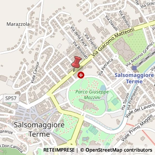 Mappa Viale Matteotti Giacomo, 14/d, 43039 Salsomaggiore Terme, Parma (Emilia Romagna)