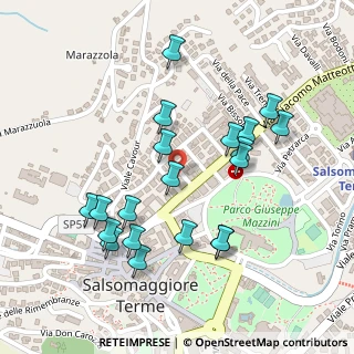 Mappa Viale Cleofonte Campanini, 43039 Salsomaggiore Terme PR, Italia (0.2455)