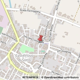 Mappa Viale della repubblica 7, 42024 Castelnovo di Sotto, Reggio nell'Emilia (Emilia Romagna)