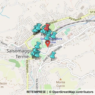 Mappa Via del Lavoro, 43039 Salsomaggiore Terme PR, Italia (0.3345)