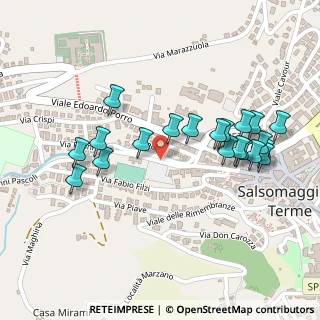 Mappa Via Gorizia, 43039 Salsomaggiore Terme PR, Italia (0.2465)