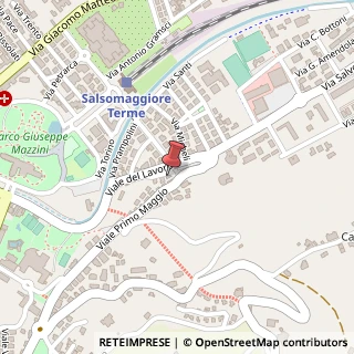 Mappa Viale I Maggio, 25, 43039 Salsomaggiore Terme, Parma (Emilia Romagna)