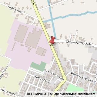 Mappa Via Eugenio Curiel,  38, 42024 Castelnovo di Sotto, Reggio nell'Emilia (Emilia Romagna)