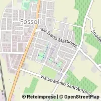 Map Carpi