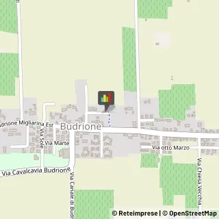 Articoli ed Alimenti per Animali Domestici - Dettaglio Carpi,41012Modena