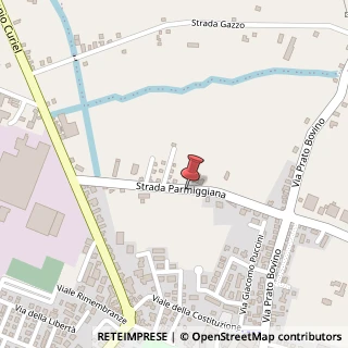 Mappa Strada parmiggiana 21, 42024 Castelnovo di Sotto, Reggio nell'Emilia (Emilia Romagna)