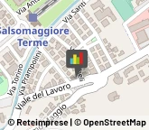 Argenteria - Lavorazione,43039Parma