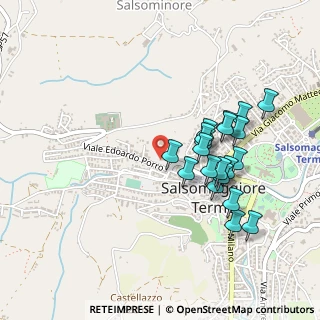 Mappa Viale Porro, 43039 Salsomaggiore Terme PR, Italia (0.443)
