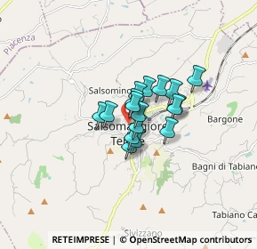 Mappa Viale Riccardo Bacchelli 5 Antico Palazzo Detraz, 43039 Salsomaggiore Terme PR, Italia (0.90824)