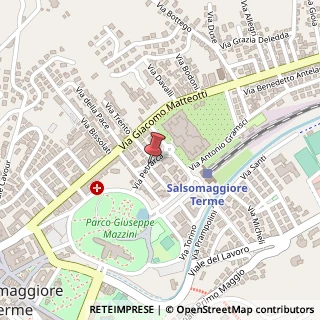 Mappa Via petrarca f. 12, 43039 Salsomaggiore Terme, Parma (Emilia Romagna)