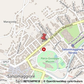 Mappa Viale Giacomo Matteotti, 31, 43039 Salsomaggiore Terme, Parma (Emilia Romagna)