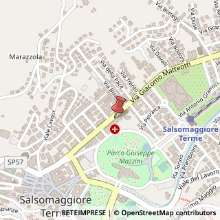 Mappa Viale Giacomo Matteotti, 18, 43039 Salsomaggiore Terme, Parma (Emilia Romagna)