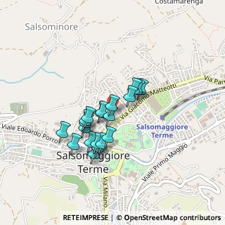Mappa Viale Giuseppe Verdi, 43039 Salsomaggiore Terme PR, Italia (0.3355)