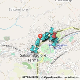 Mappa Viale Giuseppe Verdi, 43039 Salsomaggiore Terme PR, Italia (0.2645)