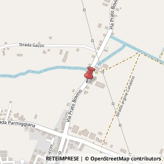 Mappa Via Prato Bovino, 50, 42024 Castelnovo di Sotto, Reggio nell'Emilia (Emilia Romagna)