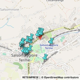 Mappa Via Giacomo Puccini, 43039 Salsomaggiore Terme PR, Italia (0.394)