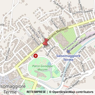 Mappa Via Giacomo Puccini, 4, 43039 Salsomaggiore Terme, Parma (Emilia Romagna)