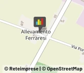 Ricami - Ingrosso e Produzione,41031Modena